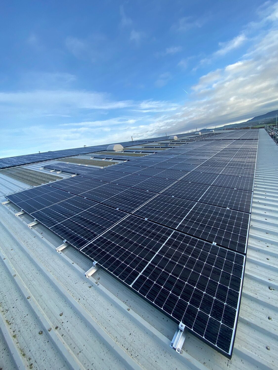 SOLARFIELD commercial solar installation — Furniture Manufacturer, Rhyl